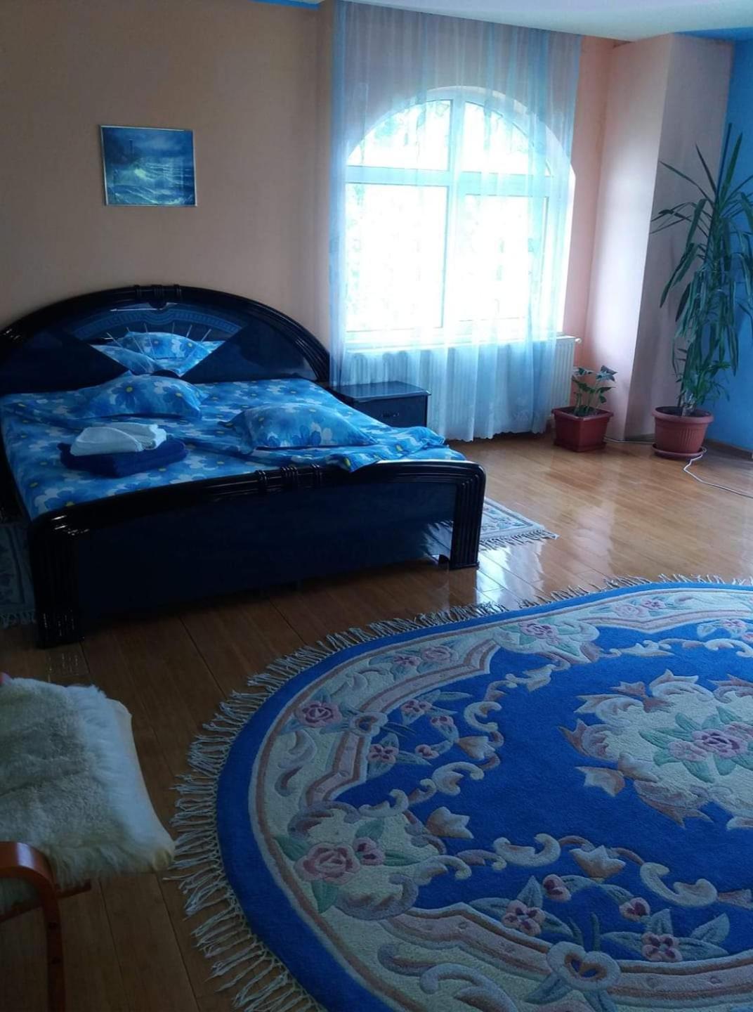 Hotel Casa Albastra Drumu Carului Habitación foto